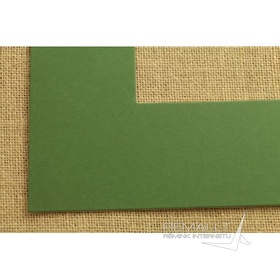 Samanos žalumo pasportas KLP.B.2465
