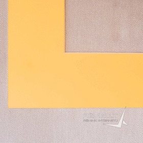 1616179 Chamois Gold