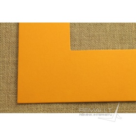Oranžinis pasportas 4856